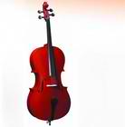 普及大提琴 CB-300